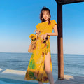 alishop:635ada4a7099