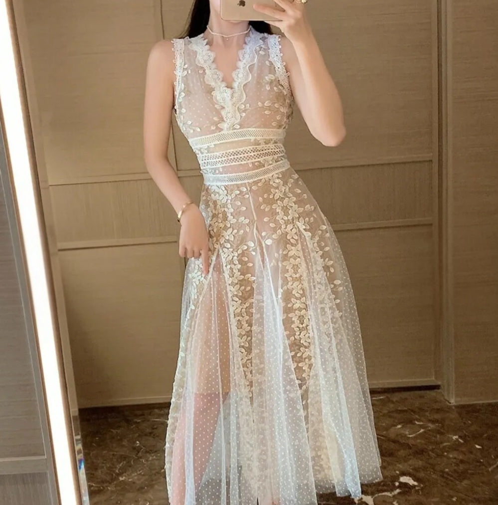 Floral Embroidered Mesh V-Neck Ballgown Maxi Dress